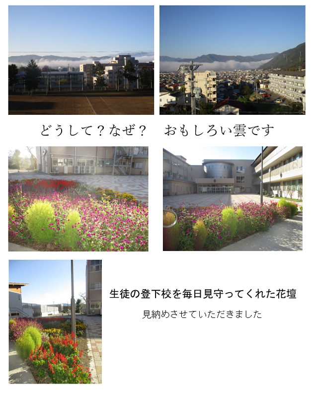 20231024_kumo_kadan.png