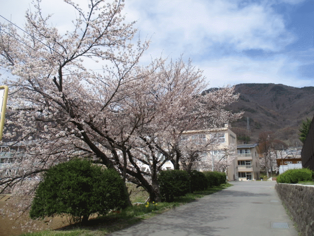 2023top_spring.gif