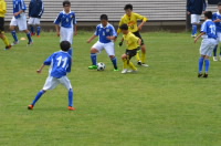 20190609jousyou005.jpg