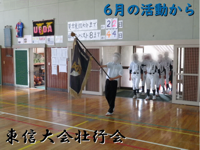 6gatutop.gif