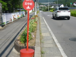P1020935.JPG
