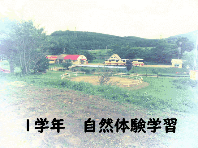 R0401nensizen.gif