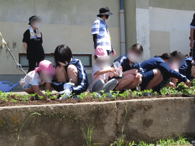 R040609hoikuenkouryuu.gif
