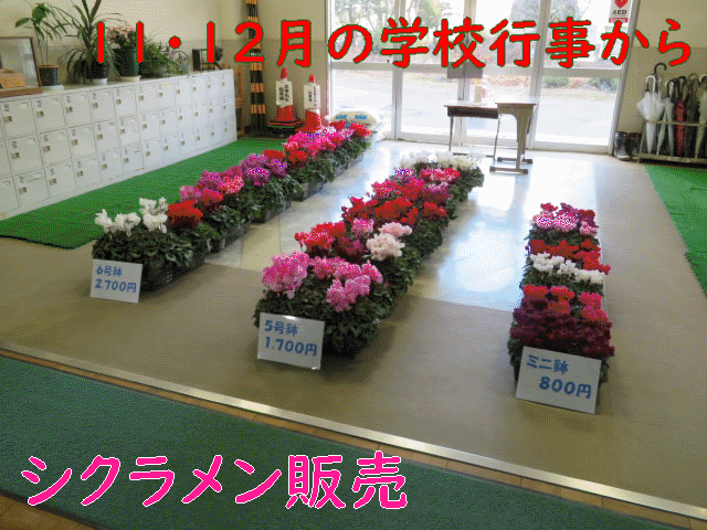 R0411-12top.gif