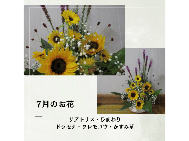 202304-202607ohanatop.gif