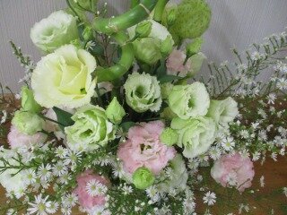 IMG_4116.jpg