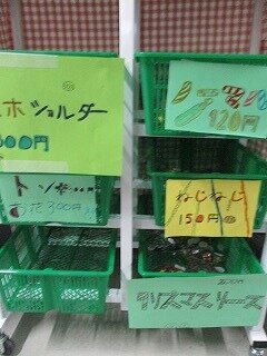 IMG_0484.jpg