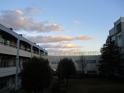 IMG_0550.jpg