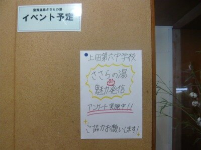 P1020599.jpg