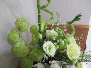 IMG_4117.jpg