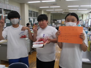 red hot chilli pepper.jpg