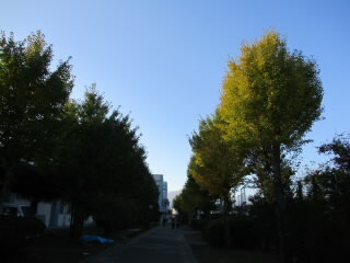 namiki.JPG