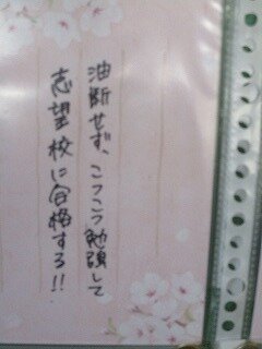 sakurasaku.jpg