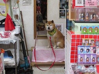 sandou.jpg