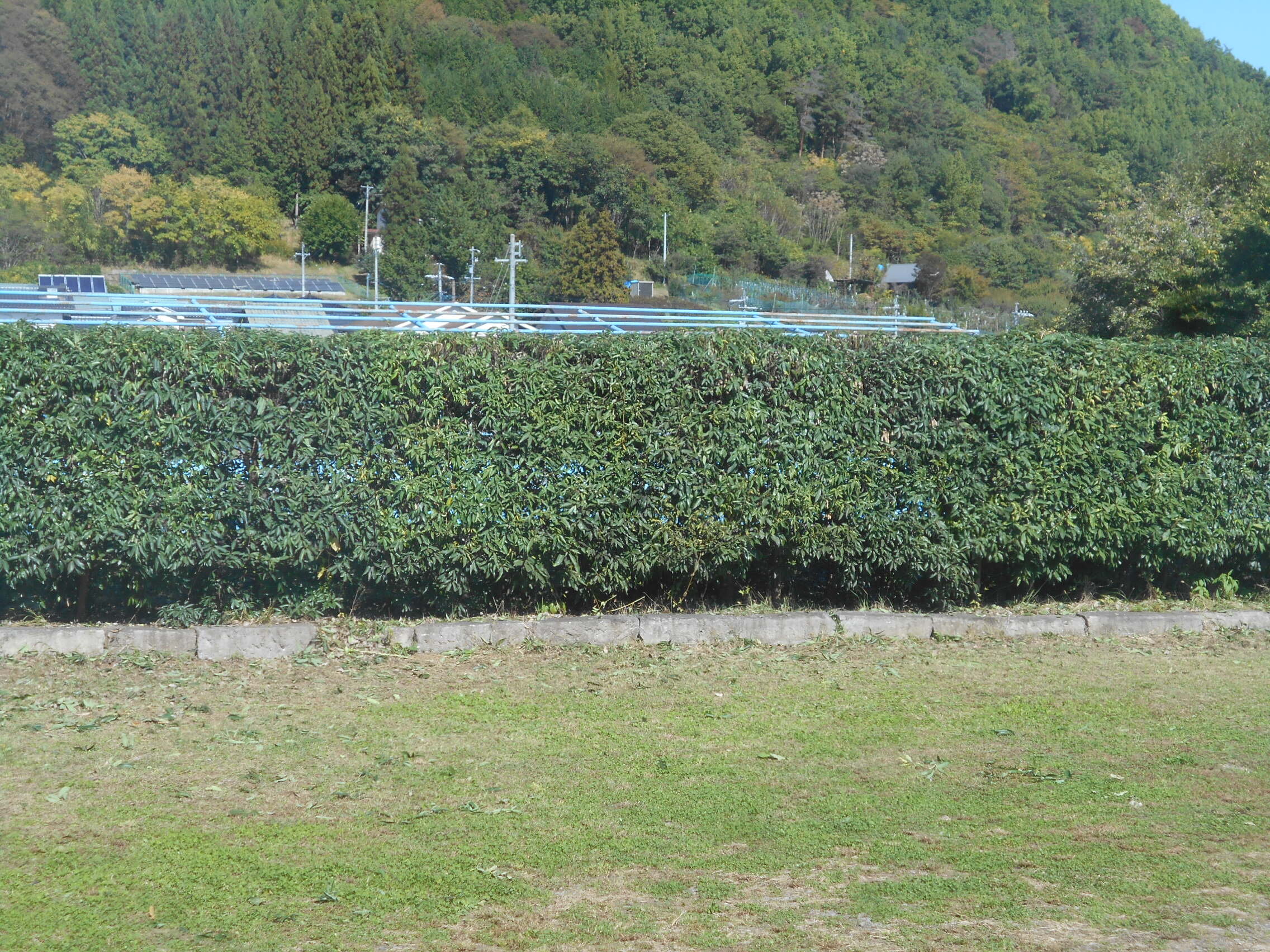 DSCN6680.JPG