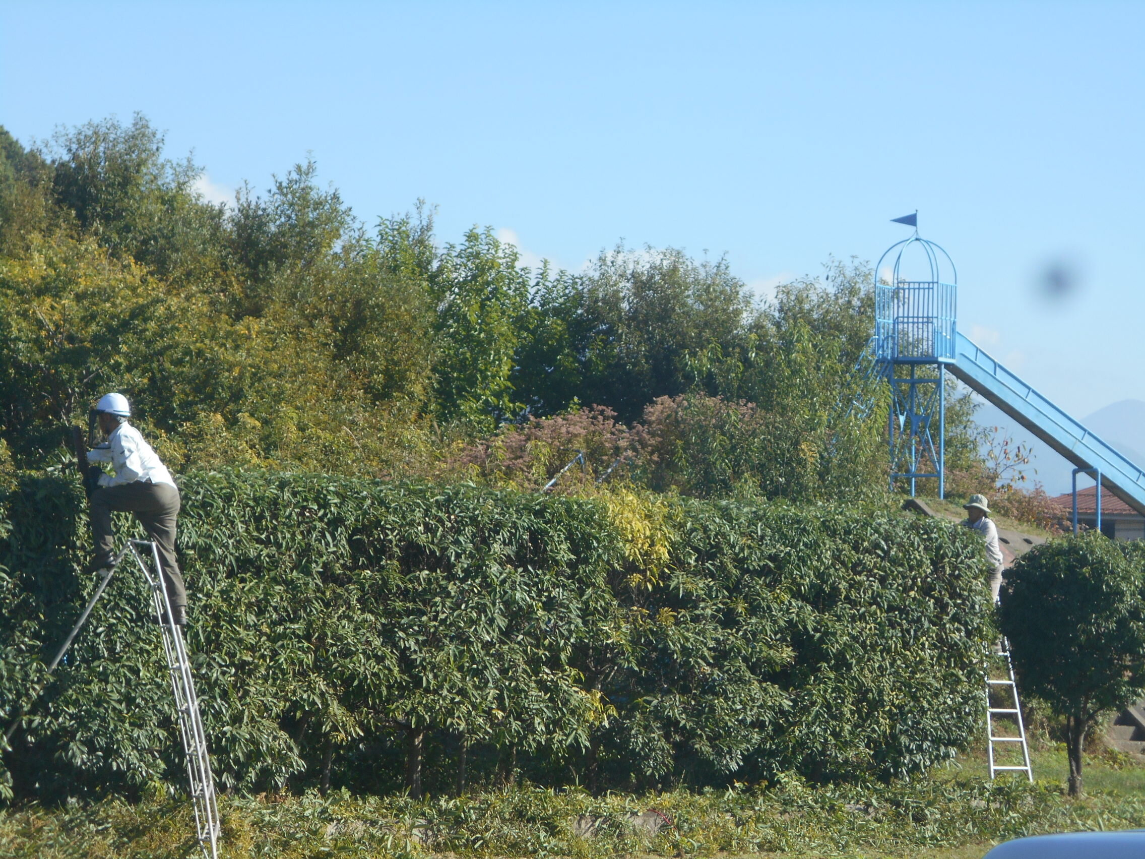 DSCN6673.JPG