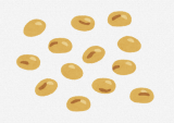 daizutane22.png