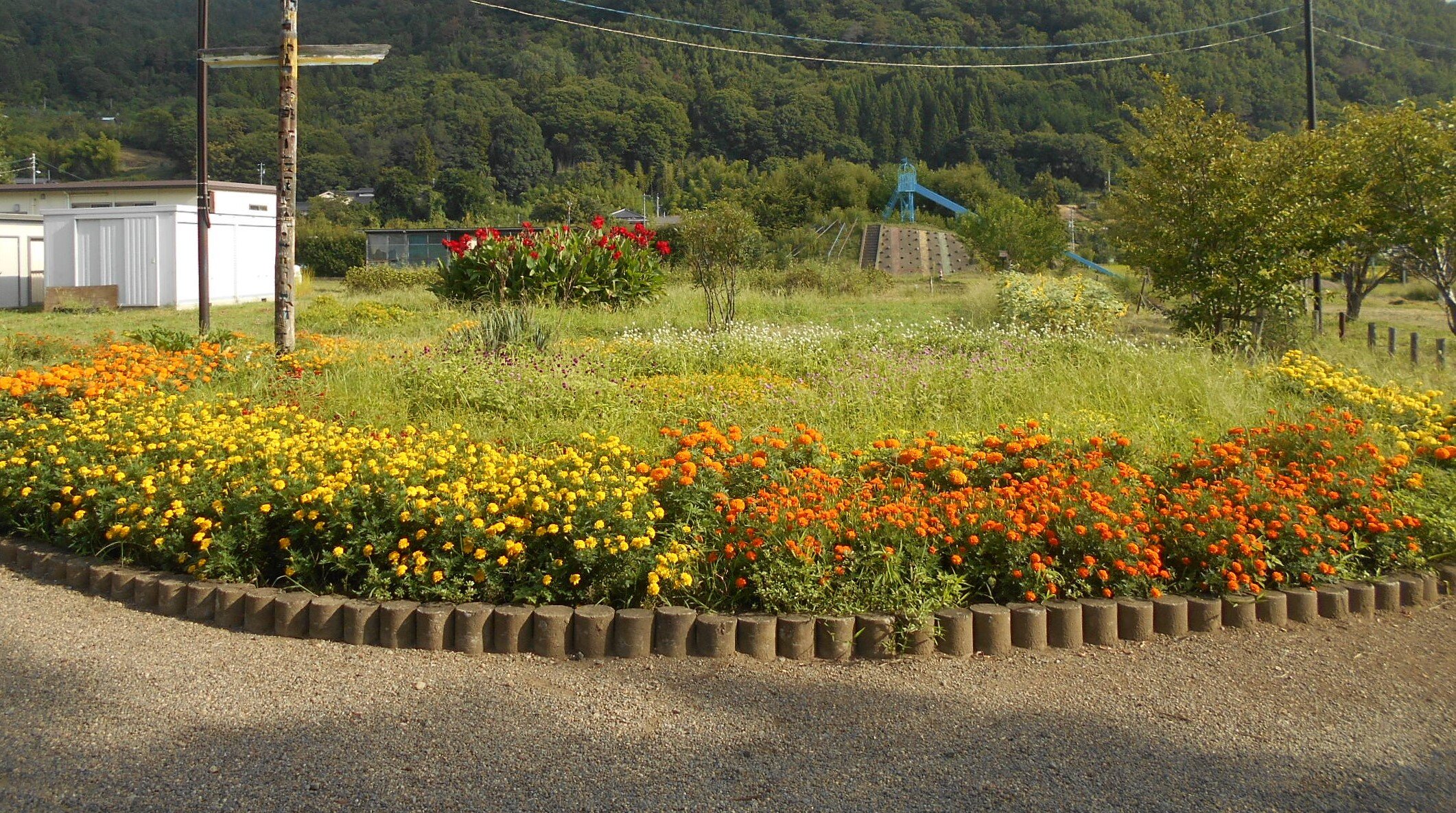 草取り１.JPG