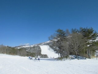 gyoujigamejiroosi602.jpg