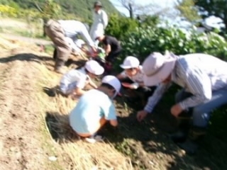 daikon2001.jpg