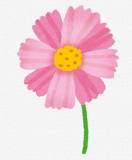 kosumomomonsu31.png