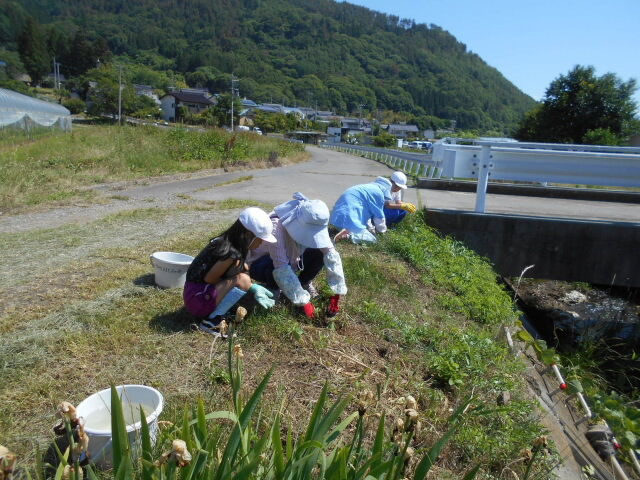 kosumosukoryuu31.jpg