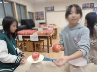 ringohanbaijyunbi41.jpg