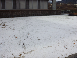 雪①HP用.png