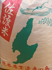辺見さん②HP用.png