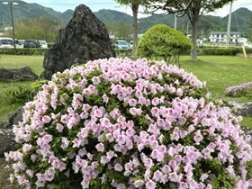 南中の風景④.jpeg