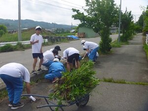 除草④HP用.JPG