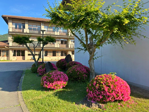 南中の風景②.png